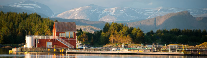 10A Stadswandeling Brønnøysund (01jan-31dec)