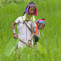 15-daagse groepsrondreis - inclusief vliegreis Zinderend Noord-Thailand