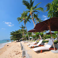 Fenix Beach Resort Samui