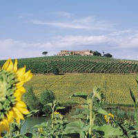 13-daagse autorondreis met verblijf in karakteristieke hotels Lago Bolsena & Toscane