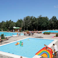 Camping Montescudaio