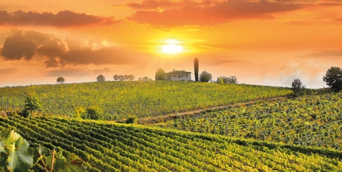 Rondreis Highlights van Toscane