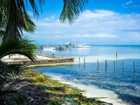 Cruise Caribbean met Honduras, Belize & Mexico