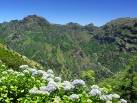 Wandelvakantie op Madeira