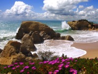 Overwinteren Algarve - Aparthotel Luna Alvor Village