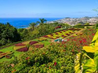 Combinatiereis Madeira & Porto Santo
