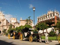 Voorjaarsactie - Hilton Valencia Hotel