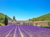 Fietsvakantie Côte d'Azur & Provence