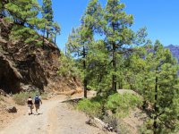 Wandelvakantie La Palma (5-daags wandelpakket)