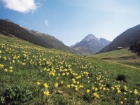 All Inclusive Andorra - Hotel El Serrat