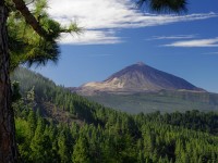 Fly-drive Puur Natuur Tenerife