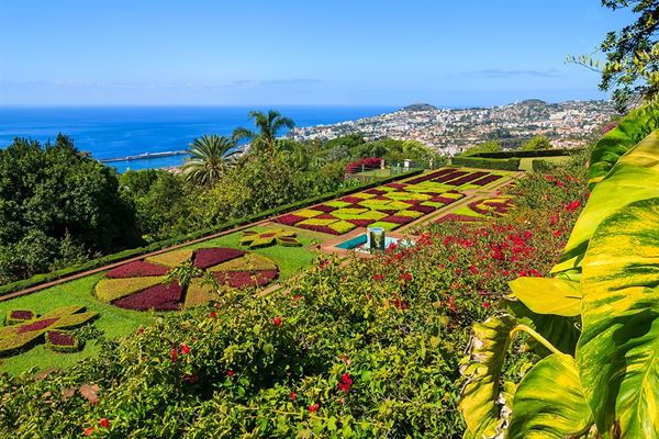 Fly-drive Madeira Charms of Madeira - Inclusief huurauto