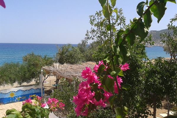 Hotel Minos Beach