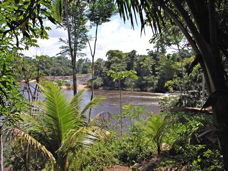 16-daagse rondreis In de ban vd Surinaamse jungle