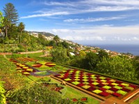 Bridgereis Madeira