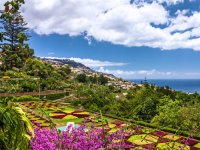 Wandelvakantie Madeira