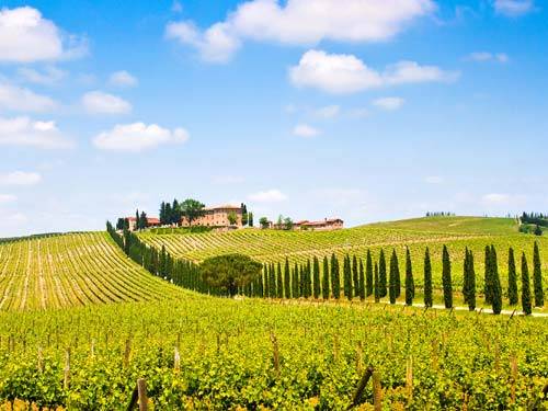 Autorondreis Hoogtepunten van Toscane