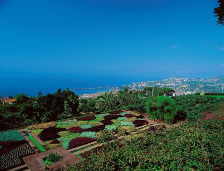 8-daagse rondreis Charming Madeira