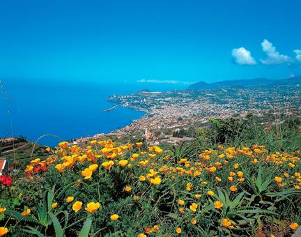 15-dgs excursiereis De vele gezichten van Madeira